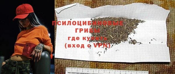 PSILOCYBIN Алексин