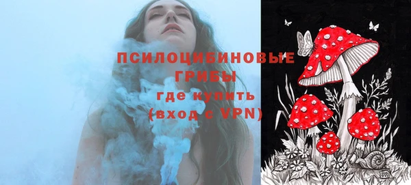 круглые Алексеевка